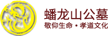 绵阳蟠龙科技有限公司